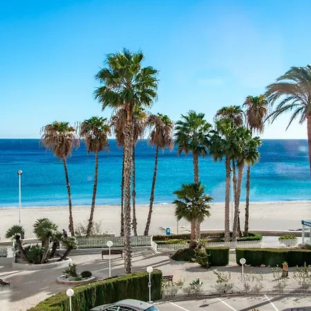 Guzman - Topacio Iv Κάλπε